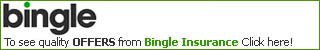 Bingle Car Insurance Logo